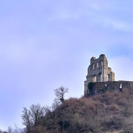 아파트 Kleine Moselruhe - Gemuetliche In Top-lage - Bis 3 Personen, Parkplatz & Wlan - Bg Living & Hosting